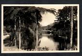 Real Photograph by Teeds of Pukekura Park and Mt Egmont. - 47076 - Postcard