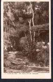 Real Photograph of the Okehu Stream. - 47172 - Postcard