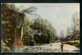 Coloured Postcard of the Tiritea Stream Palmerson North. - 47210 - Postcard