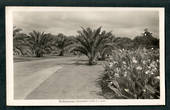 Real Photograph by A B Hurst & Son of The Esplanade Palmerston North. - 47220 - Postcard