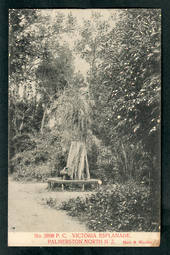 Postcard of Victoria Esplanade Palmerston North. - 47235 - Postcard
