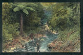 Coloured postcard of Tititea Stream Palmerston North. - 47240 - Postcard