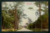 Coloured postcard of Awahuri Road Palmerston North. - 47248 - Postcard