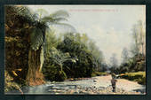 Coloured postcard of the Tiritea Stream Palmerston North. - 47258 - Postcard