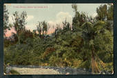 Coloured postcard of Tiritea Stream Palmerston North - 47264 - Postcard