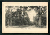 Real Photograph of Awahuri Bush Fielding. - 47266 - Postcard