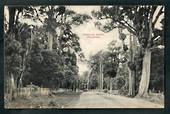 Postcard of Awahuri Bush Feilding. - 47273 - Postcard