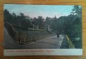 Early Undivided Coloured postcard of a Favorite Walk Botanical Gardens Wellington. - 47330 - Postcard
