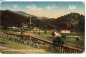 Postcard of Newtowb Park Wellington. - 47331 - Postcard