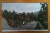 Coloured postcard of the Botanical Gardens Wellington. - 47336 - Postcard