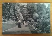 Postcard of the Botanical Gardens Wellington. - 47339 - Postcard
