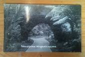 Real Photograph by Radcliffe of Botanical Gardens Wellington. - 47343 - Postcard