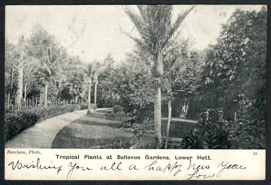 LOWER HUTT Bellvue Gardens. Tropical Plants. Postcard by Barcham. - 47354 - Postcard