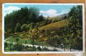 Coloured postcard of Botannical Gardens Wellington. 1906. - 47380 - Postcard