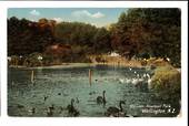 Coloured postcard of The Lake Newtown Park. - 47409 - Postcard