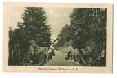 Postcard of Botannical Gardens Wellington. - 47434 - Postcard