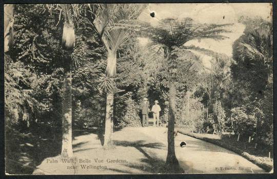 LOWER HUTT Bellvue Gardens. palm Walk. Postcard. - 47438 - Postcard