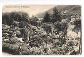 Postcard of Wellington. Botannical Gardens. Overpinted as a Christmas Card. - 47566 - Postcard