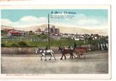 Coloured postcard of Basin Reserve Wellington. A Merry Christmas. - 47644 - Postcard