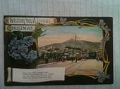 WELLINGTON (Lake at) Newtown Park. Coloured Postcard.  Muir & Moodie - 47657 - Postcard