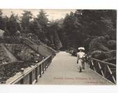 Postcard of Botannical Gardens Wellington. - 47788 - Postcard