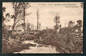 Postcard of Renall's Creek Masterton. - 47857 - Postcard