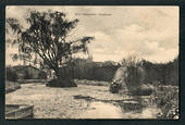Postcard of Fish Hatcheries Masterton. - 47865 - Postcard
