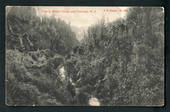 Postcard of View in Makuri Gorge near Pahiatua. - 47866 - Postcard