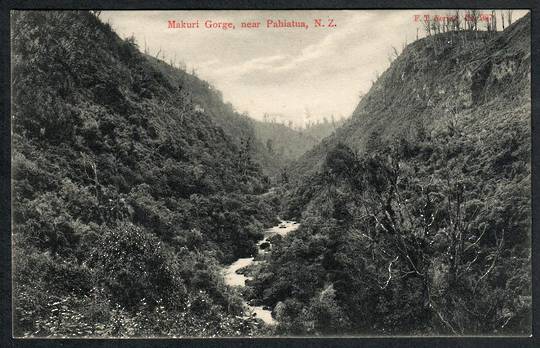PAHIATUA Makuri Gorge. Postcard. - 47875 - Postcard