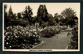 Real Photograph by A B Hurst & Son of Rose Gardens masterton. - 47895 - Postcard