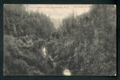 Postcard of Makuri Gorge near Pahiatua. - 47896 - Postcard