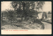 Postcard of the Botannical Gardens Napier. - 47901 - Postcard