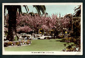 Coloured Real Photograph by Hurst of Clive Square Napier. - 47925 - Postcard