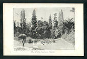 Real Photograph of Public Gardens Napier. - 48005 - Postcard