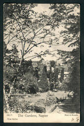 Early Undivided Postcard of The Gardens Napier. - 48083 - Postcard