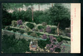 Coloured Postcard by Muir & Moodie of Gardens Napier. - 48086 - Postcard
