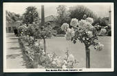 Real Photograph by A B Hurst & Son of Rose Gardens Clive Square Napier. - 48090 - Postcard