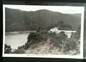 Real Photograph by A B Hurst & Son of Hotel and Lake Lake Waikaremoana. - 48170 - Postcard