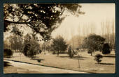 Real Photograph of Botannical Gardens Gisborne. - 48208 - Postcard