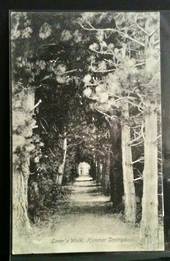 Postcard of Lovers' Walk Hamner Springs. - 48253 - Postcard