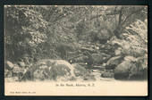 Postcard In the Bush Akaroa. - 48272 - Postcard