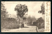 Early Undivided Postcard. In the Gardens Christchurch - 48307 - Postcard
