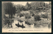 Postcard of Native Shrubs in the Domain River Avon. - 48343 - Postcard