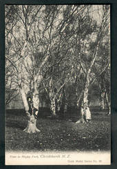 Postcard of trees in Hagley Park. - 48365 - Postcard