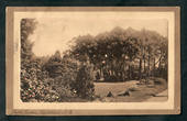Postcard of Public Gardens Christchurch. - 48422 - Postcard