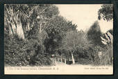 Postcard of a View in the Christchurch Botanical Gardens. - 48443 - Postcard