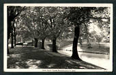 Real Photograph by Hurst Avon River Bank Christchurch. - 48451 - Postcard