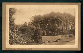 Sepia Postcard of The Public Gardens Christchurch. - 48468 - Postcard