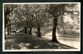 Real Photograph by Hurst of the Avon River Bank. - 48503 - Postcard