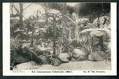 NEW ZEALAND 1906 Postcard New Zealand International Exhibition. No 4.
The Fernery. - 48509 - Postcard